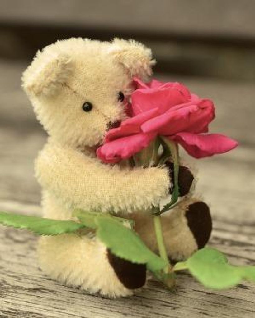 Candace C Burke Profile Photo