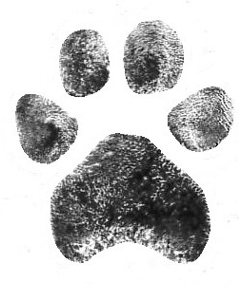 Bonzi Mathis Profile Photo