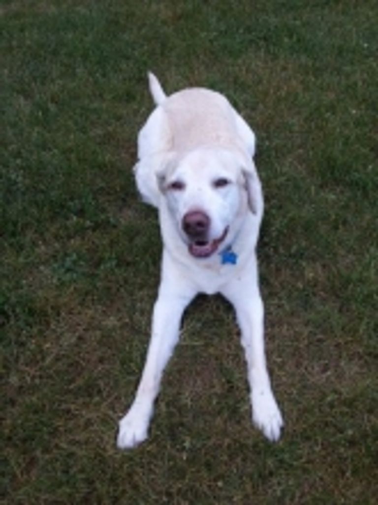 Tucker Kamp Profile Photo