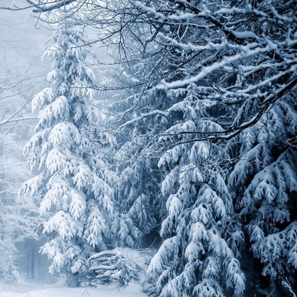 Lois Edna Pack Profile Photo