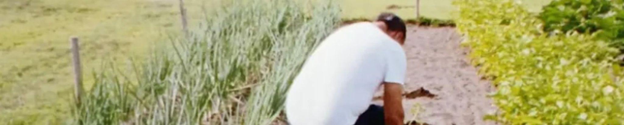 Cover for Steven L. Ferguson's Obituary