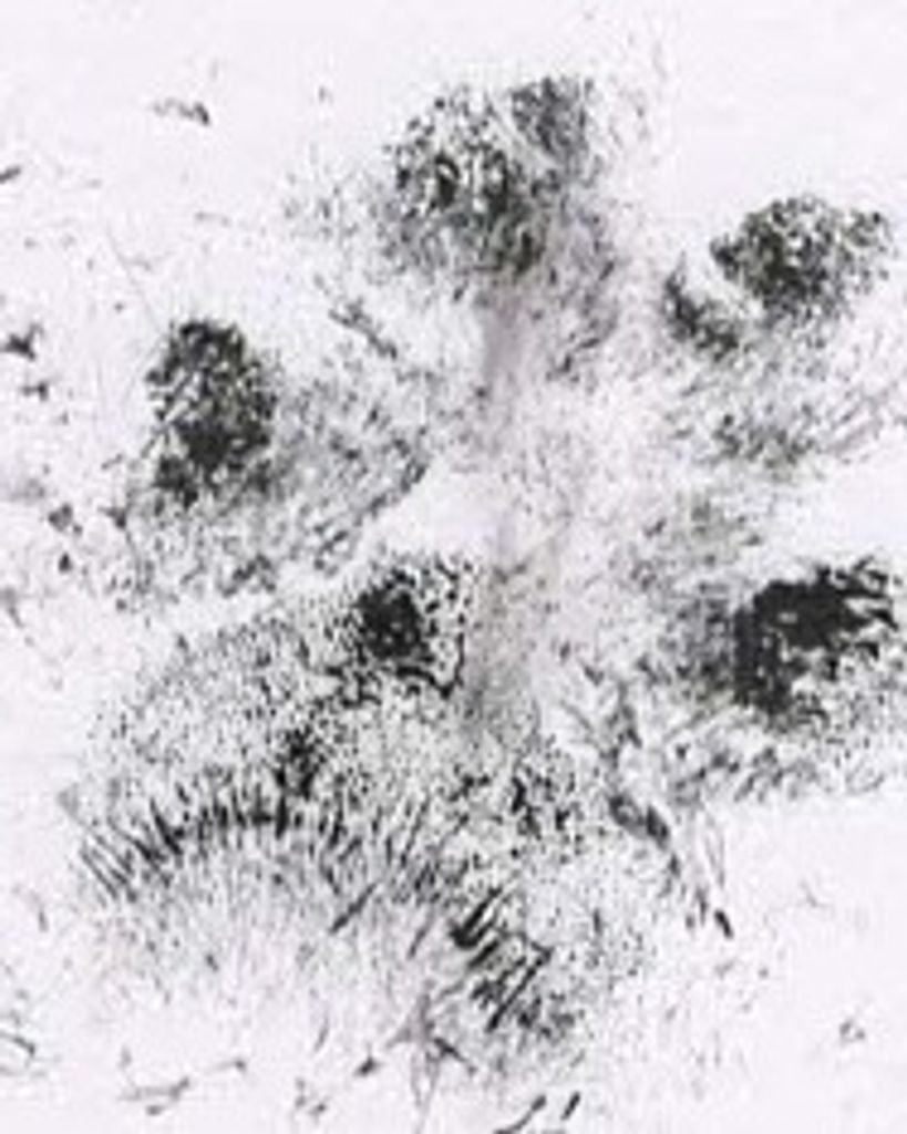 Norah Brumgard Profile Photo