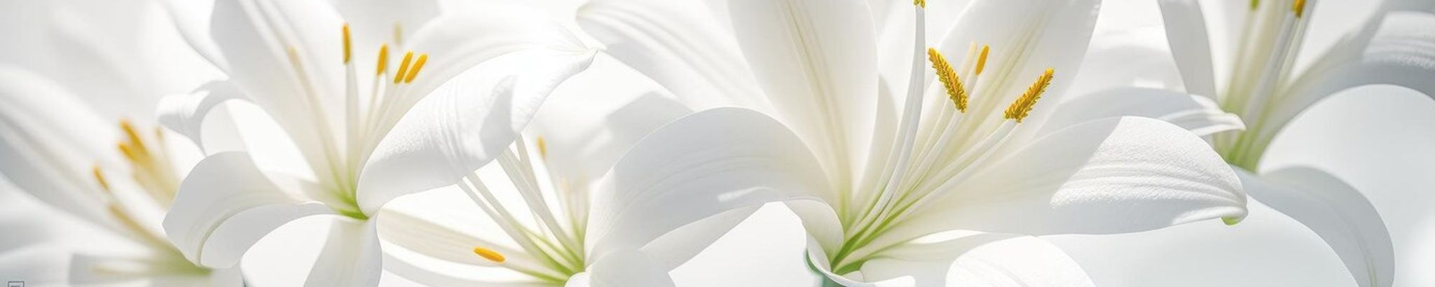 Cover photo for Doris Miller's Obituary
