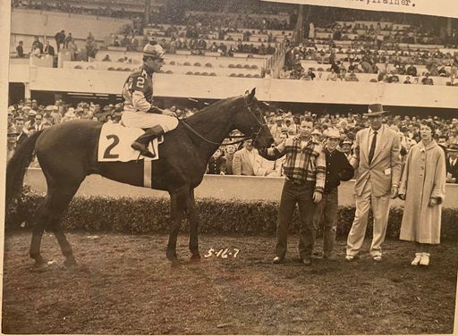 Carol Casey photo gallery thumbnail 34 of 56