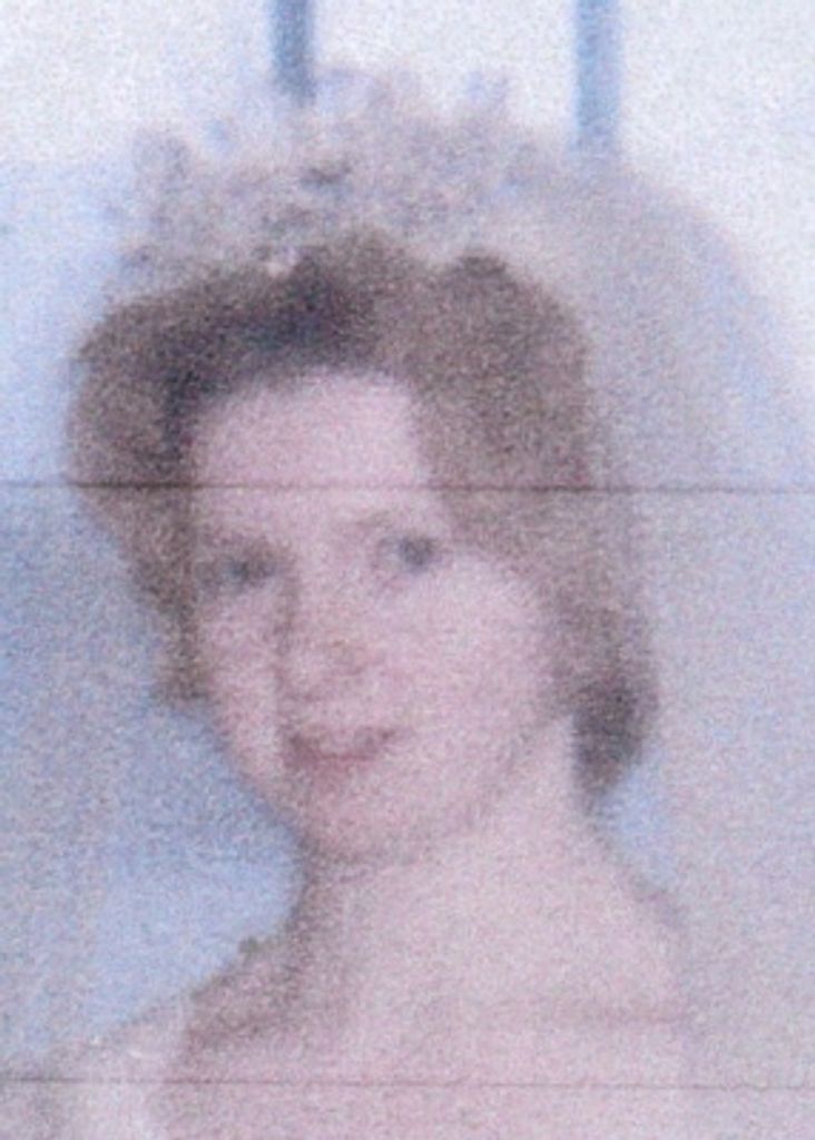 Anita  Joyce  Cook Profile Photo