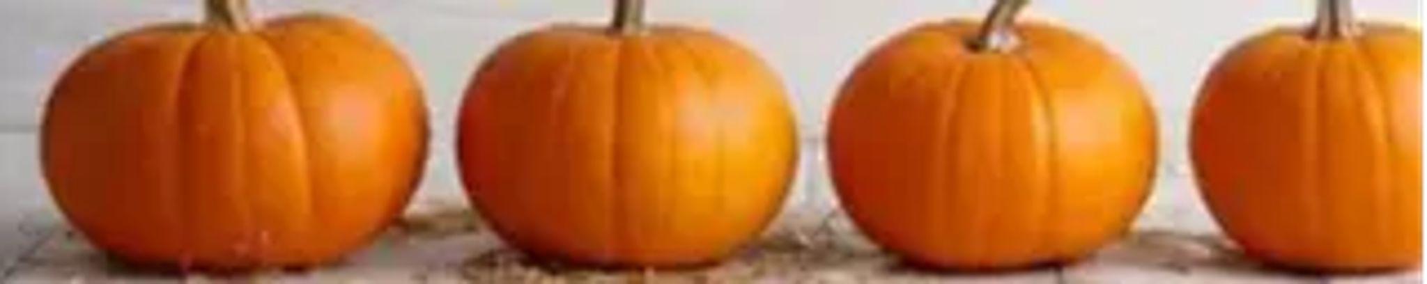 Cover for Dorothy Ann Kellam's Obituary