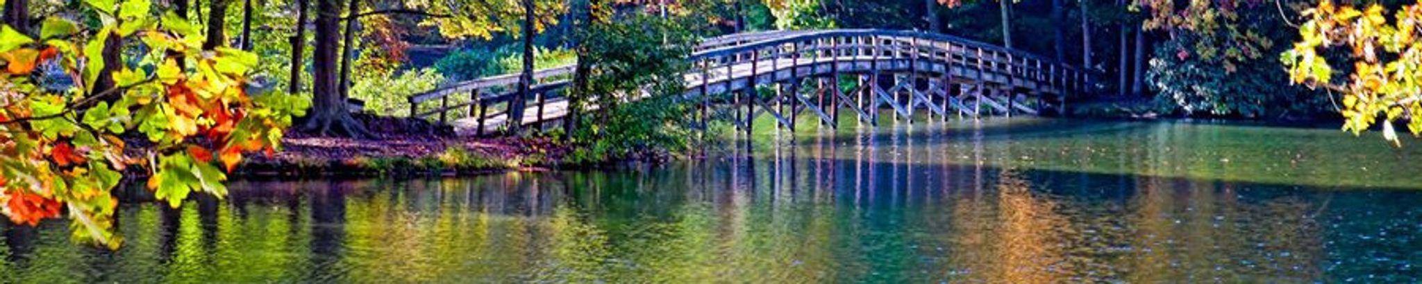 Cover photo for Judith Ann (Judy) Taminger's Obituary