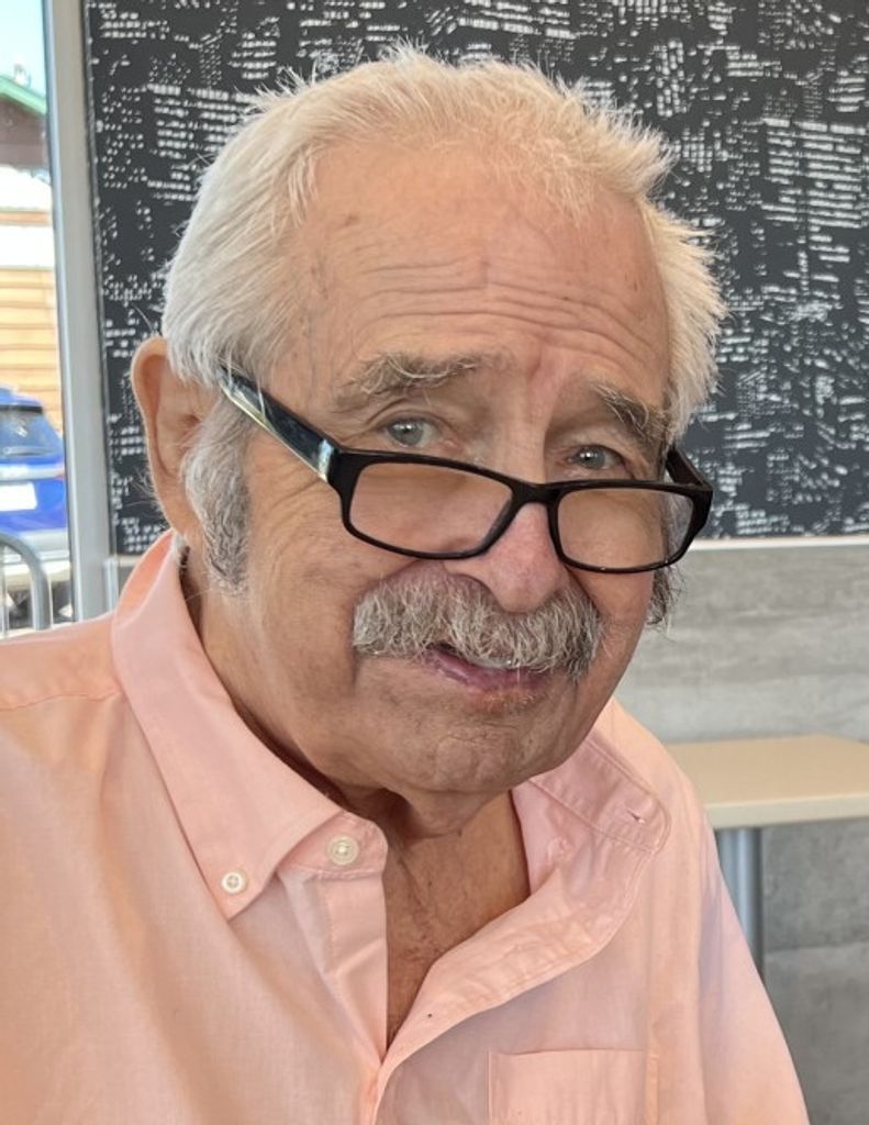 Louis "Louie" Francis Gerzic Jr.