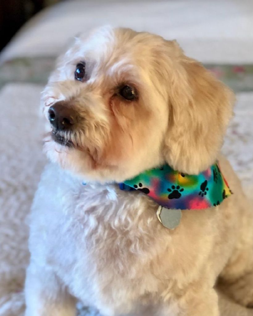 Barnabas "Barney" Korsmo