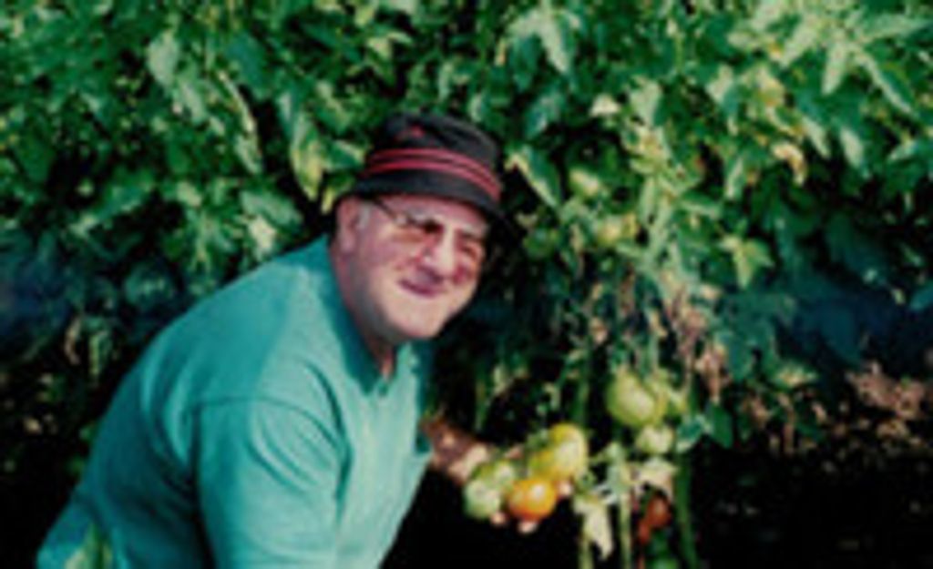 Anthony V. Brunetta Profile Photo