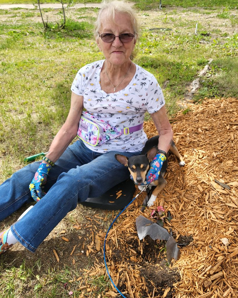 Judy A. Jones