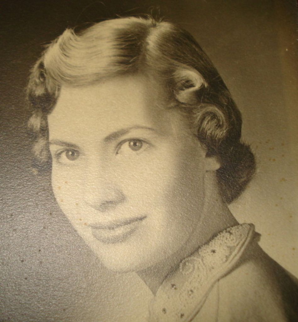Donna L. (Hoehnle)  Mincher Profile Photo