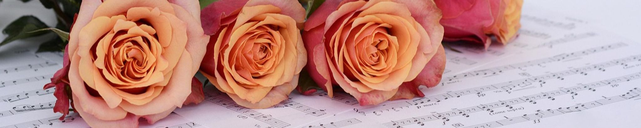 Cover for Carolyn (Johnson) Wahlberg's Obituary