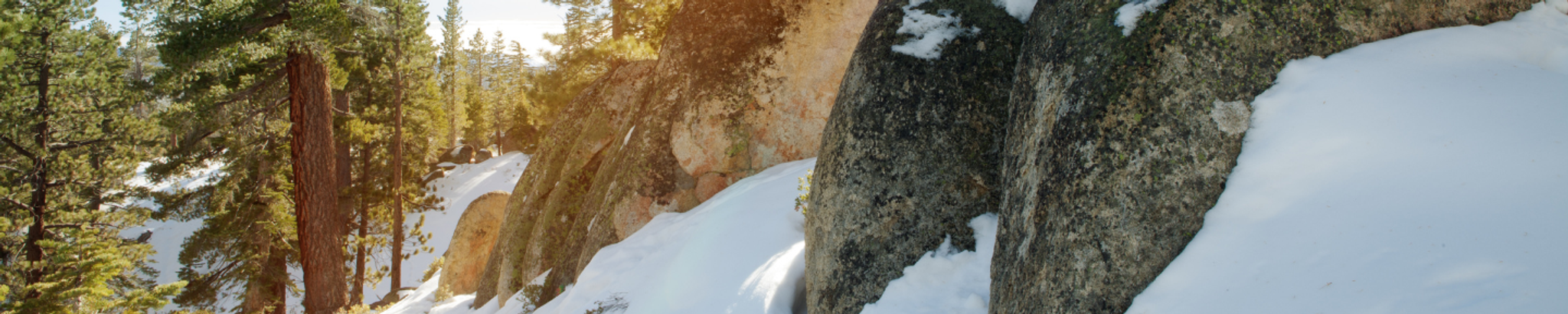 Cover photo for Todd Allen's Obituary