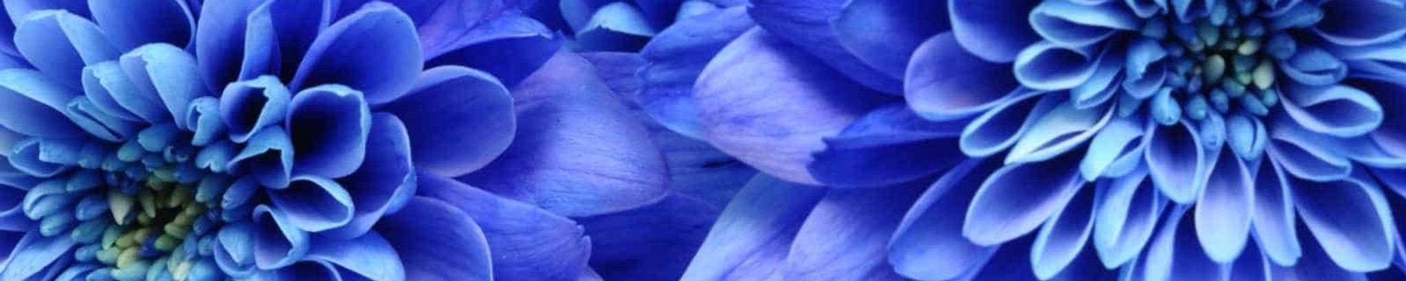 Cover photo for Kay Sharon Catron's Obituary