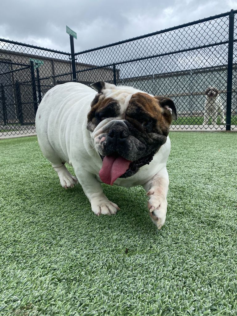 Lillie Taff Profile Photo