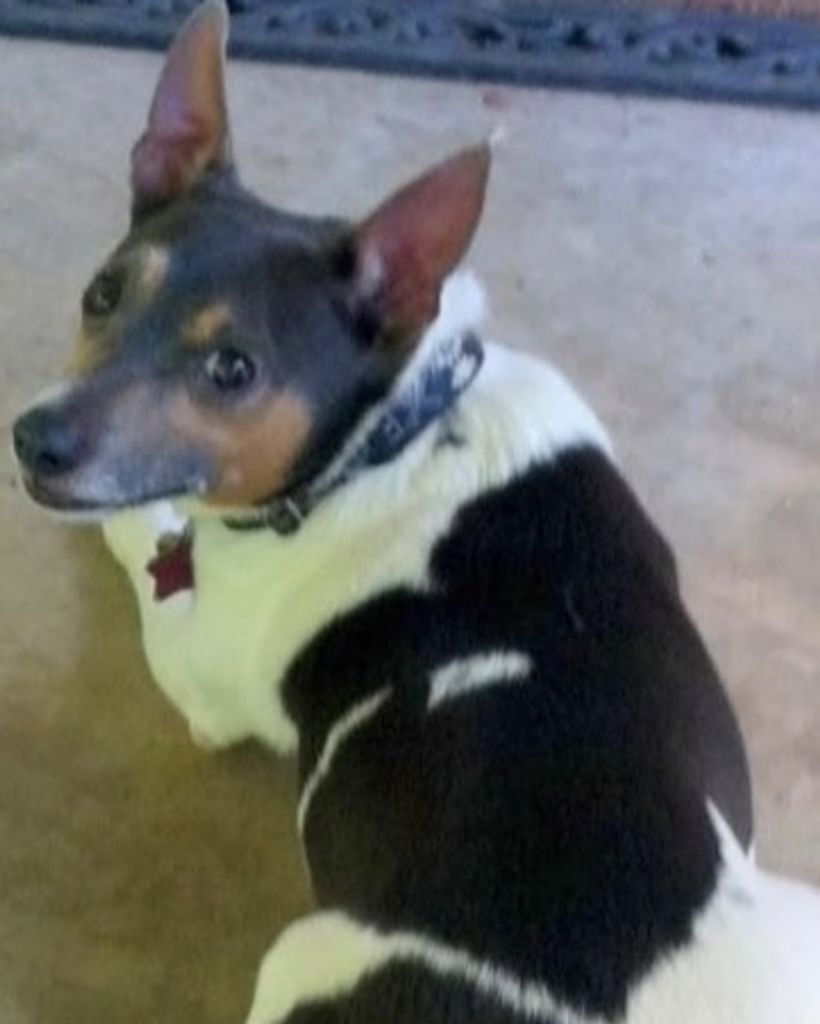 Wilson Davenport Profile Photo