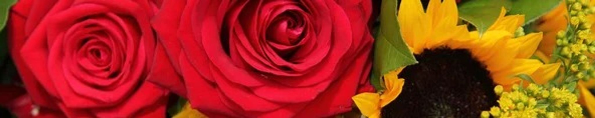 Cover photo for Megan Marie (Nipp) Stewart's Obituary