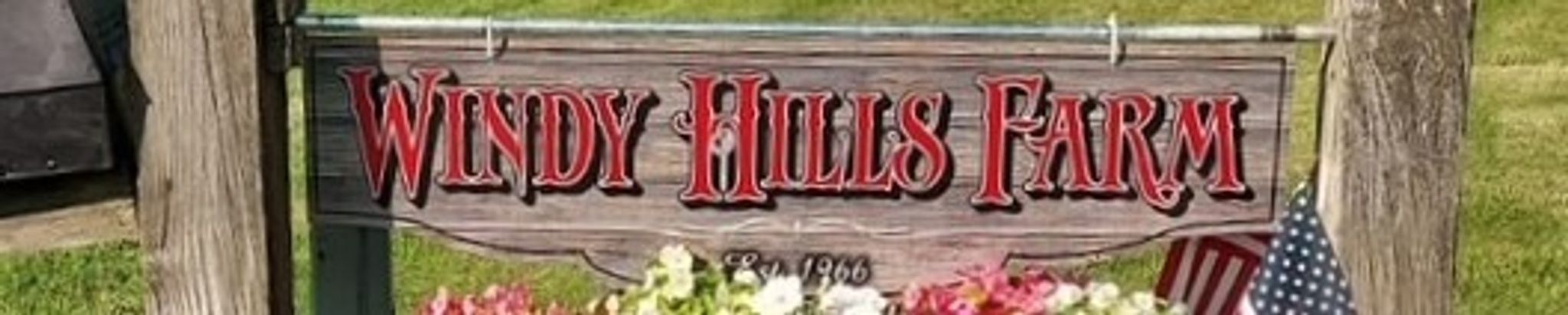 Cover for Linda S. Verhaeghe's Obituary