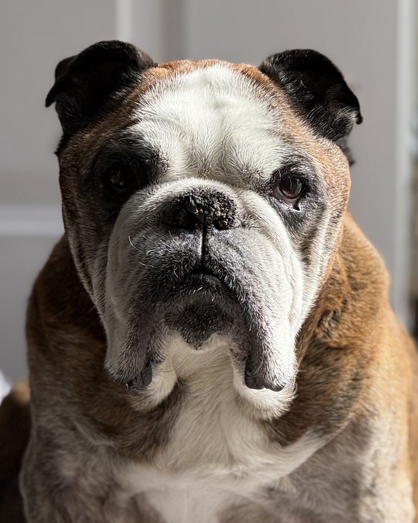 Jagger Lambert Profile Photo