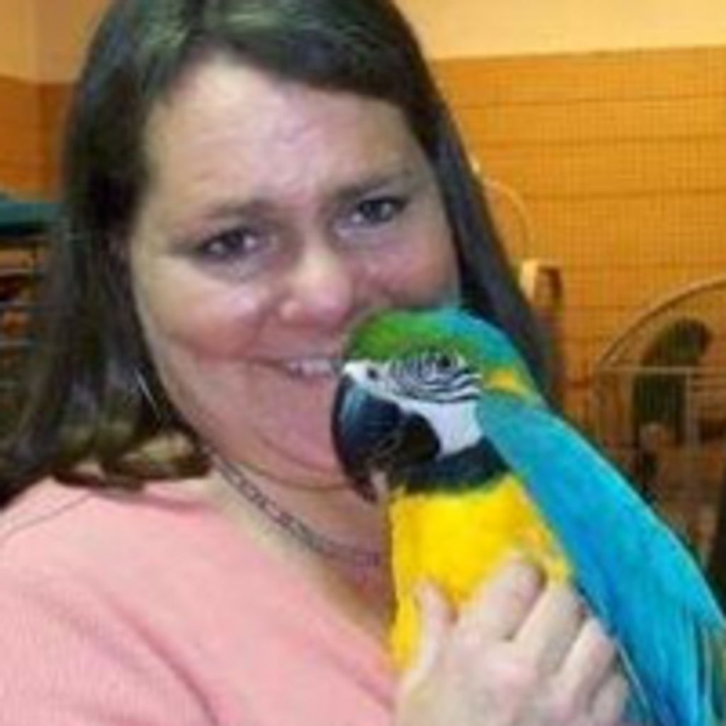 Holly J. Lipocky