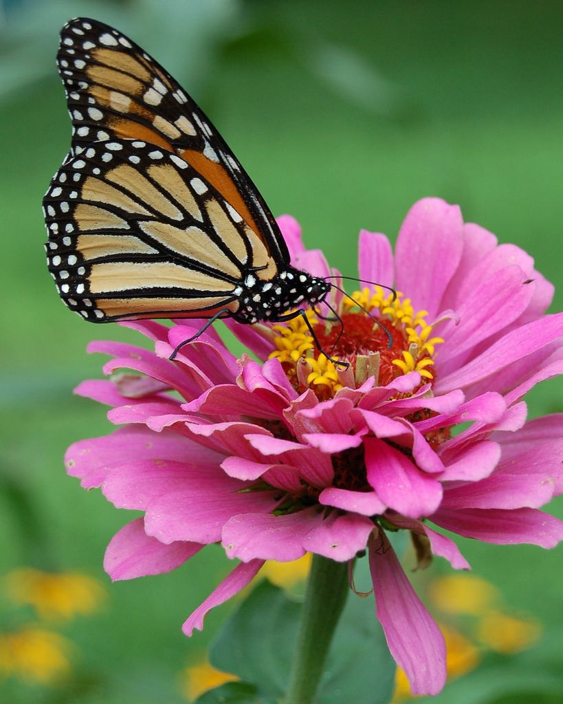 Cathy Marie Longshore