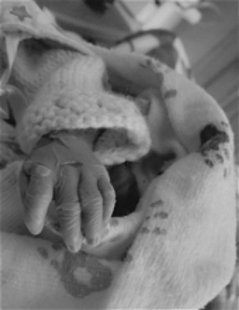 Mateo Emanuel Quevedo- Diamond  Profile Photo