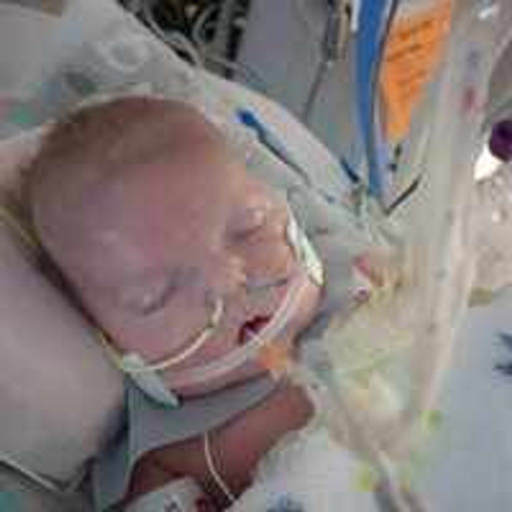Jax Hunter Heinzelman