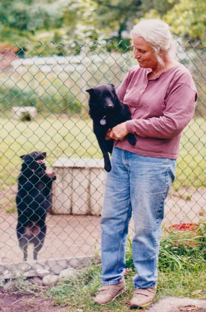 Susan D. Corey Profile Photo