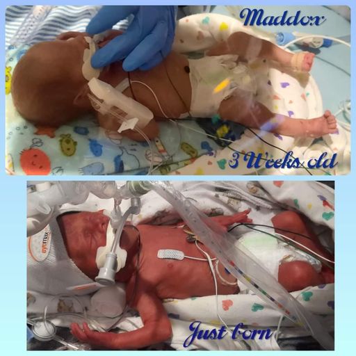 Maddox Lee Loeffler Profile Photo