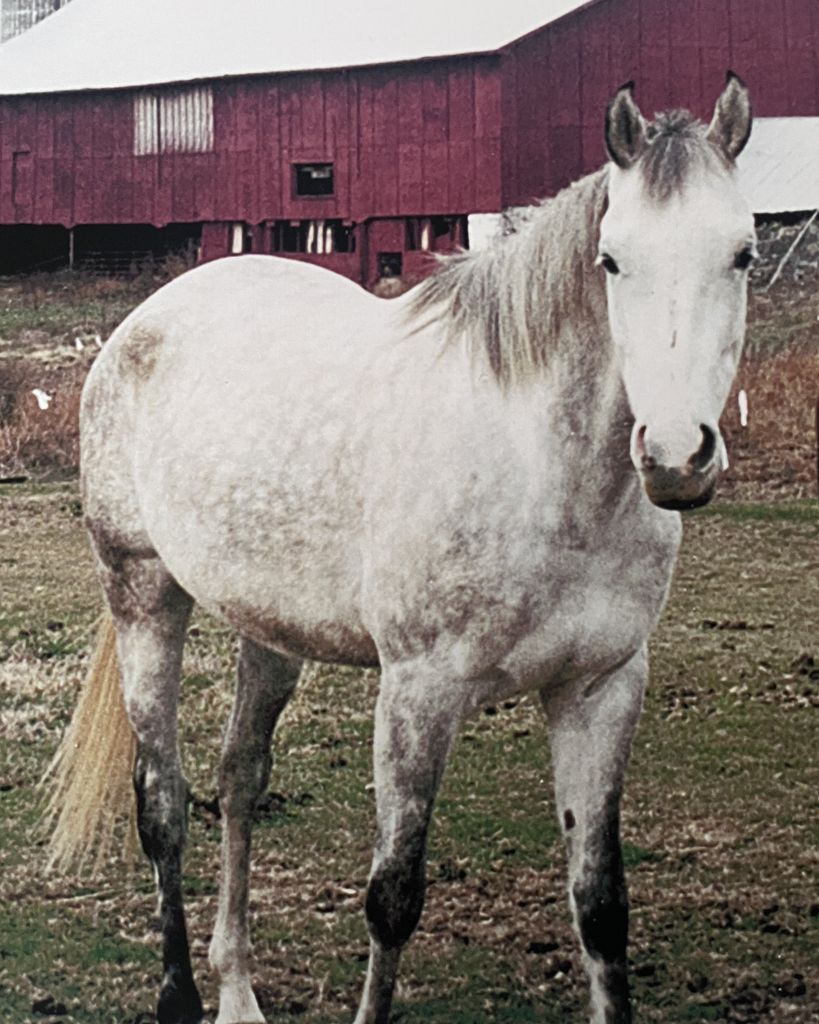 Jacki Lynn Poore Profile Photo