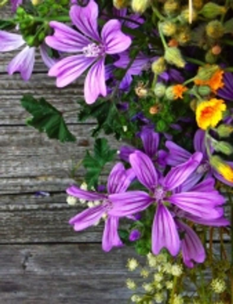 Vivian Yvonne Gilbert