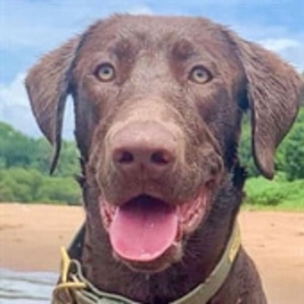 Rip Phillips Profile Photo
