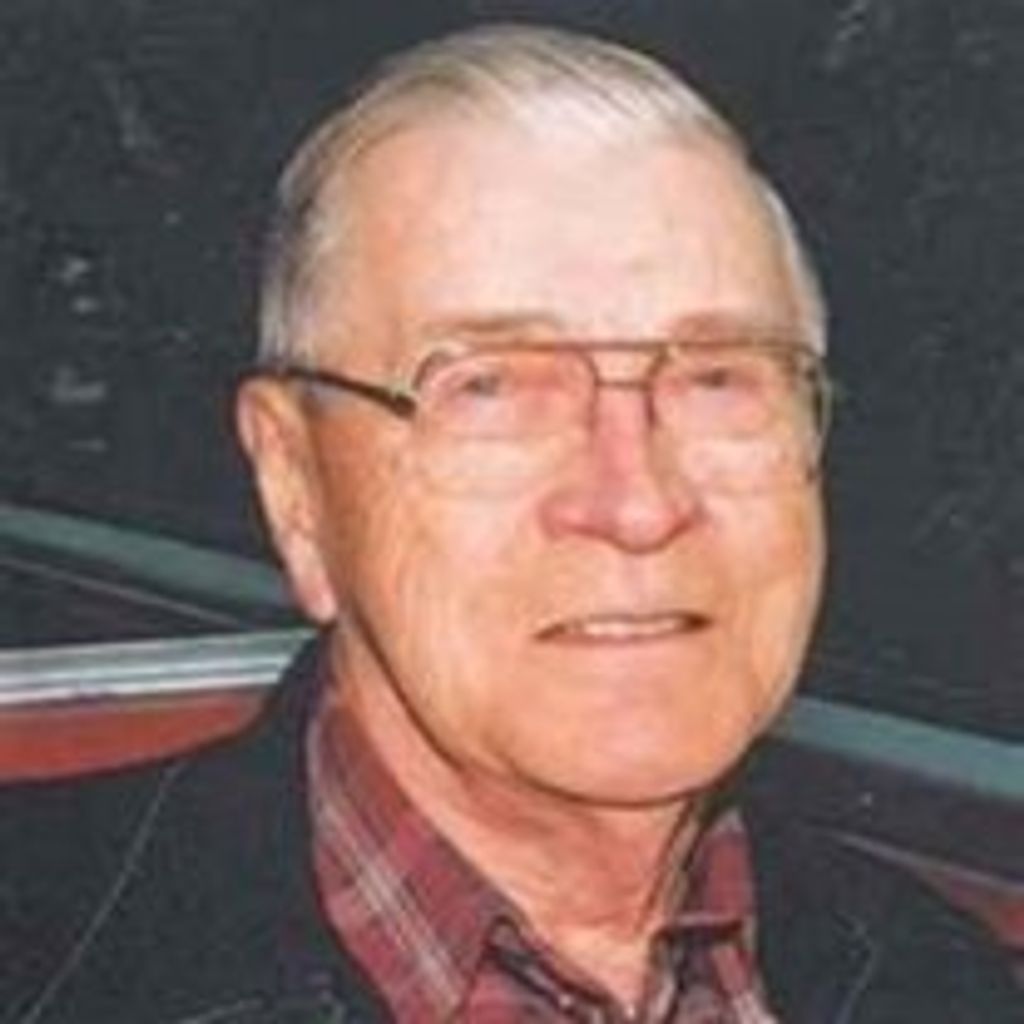 Irvin  N. Berg