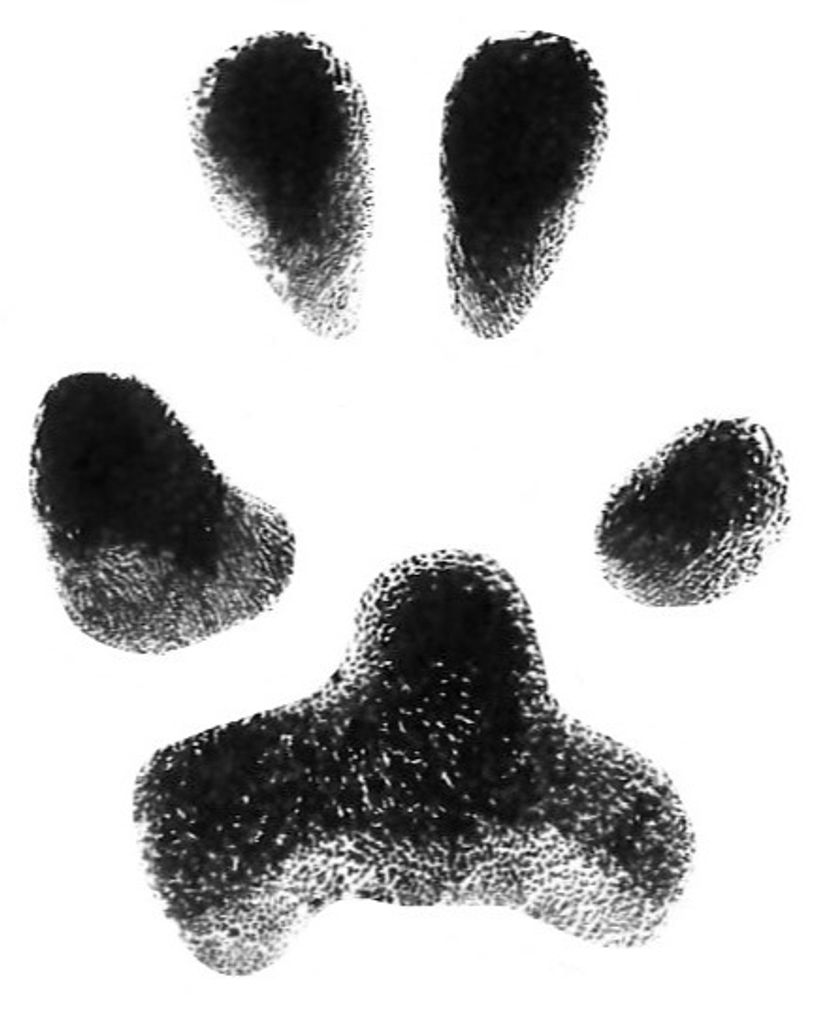 Ruby Futral Profile Photo