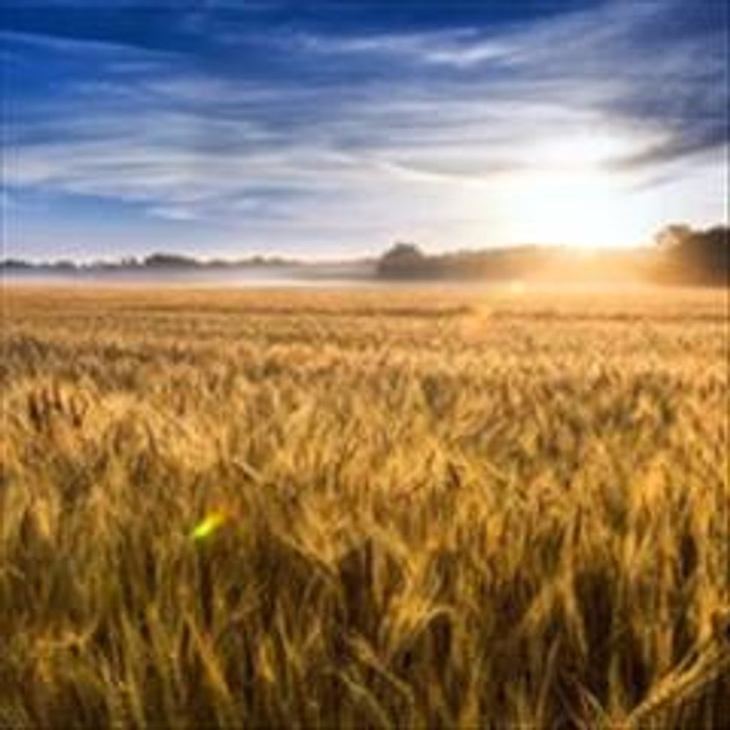 Samuel Ray Wofford Profile Photo