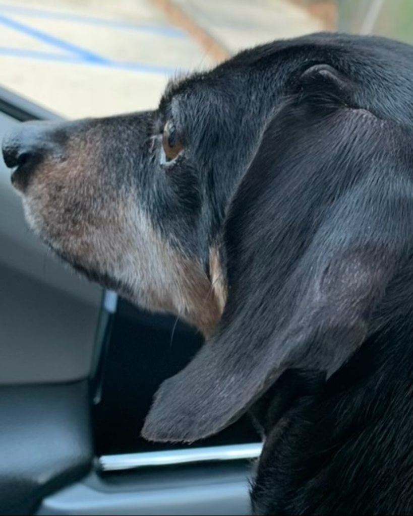 Oscar