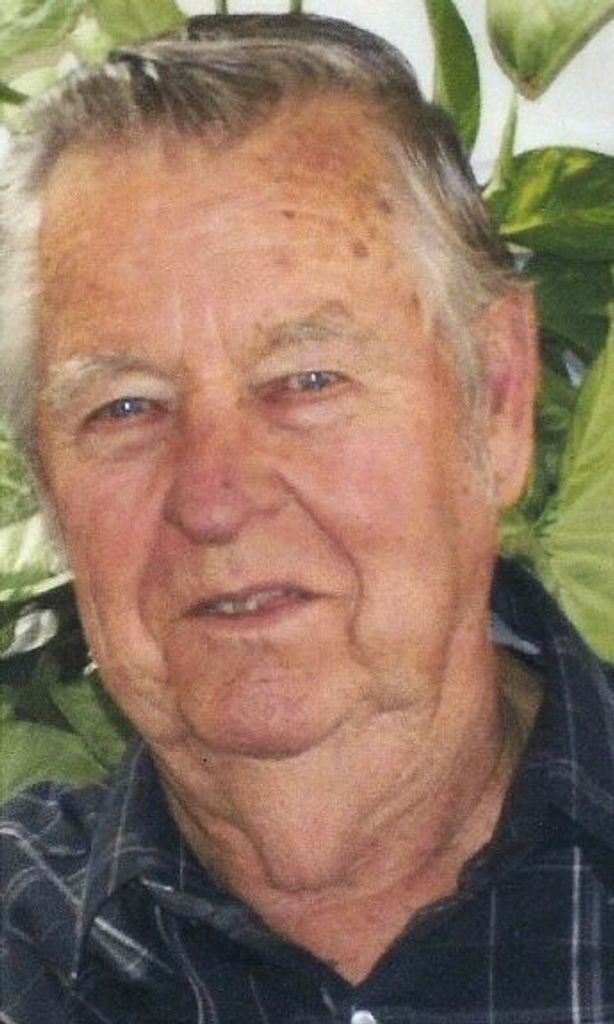William Strickland Rice, Jr.