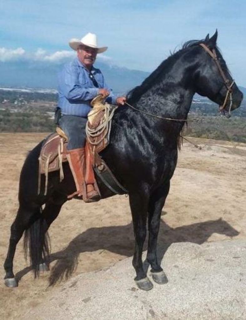 Luis G. Aguirre Profile Photo
