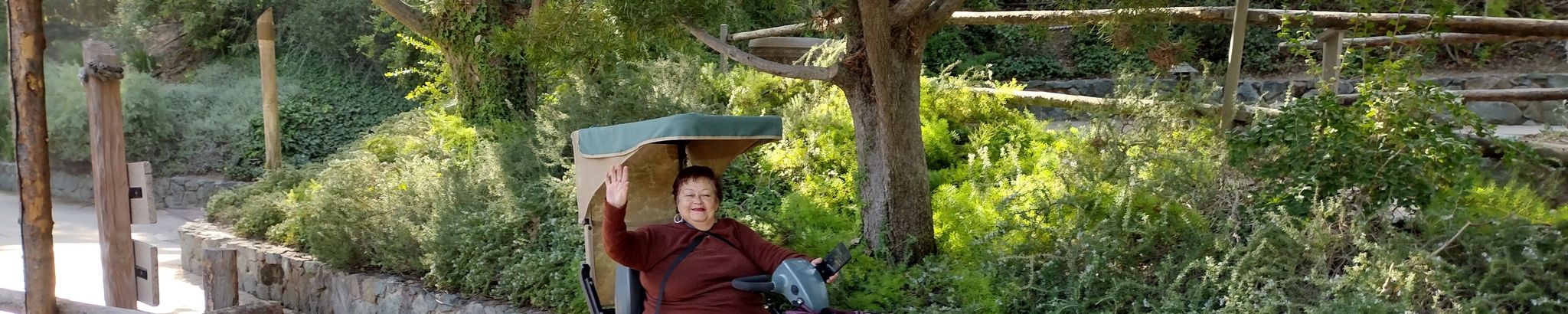 Cover photo for Lydia Salinas De Rosales's Obituary