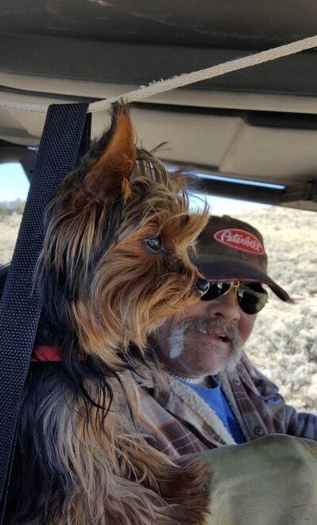 Samuel D. Houston, Jr.