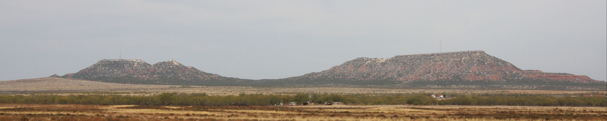 Cover for Sue Branch's Obituary