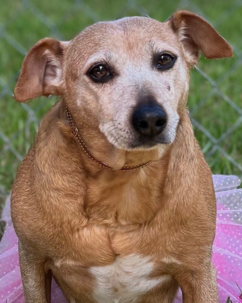 Daisy Mae Williams Profile Photo