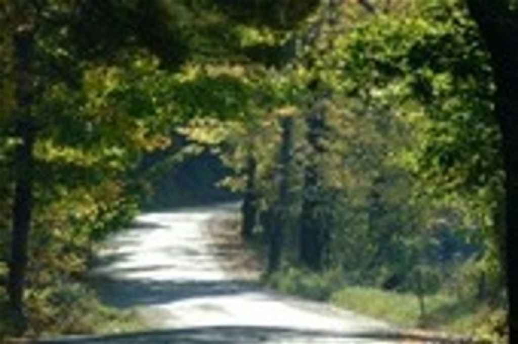 Daniel Eric Rightmire