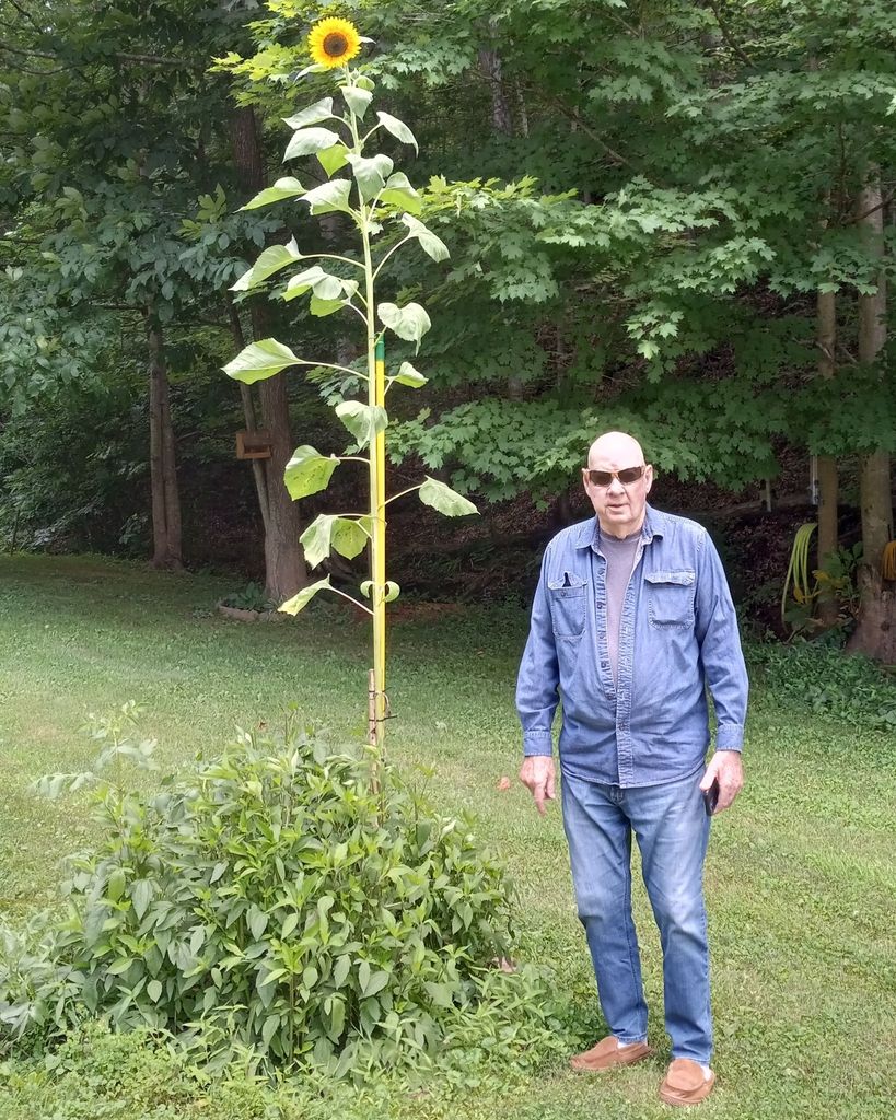 Charles C. Hall Profile Photo