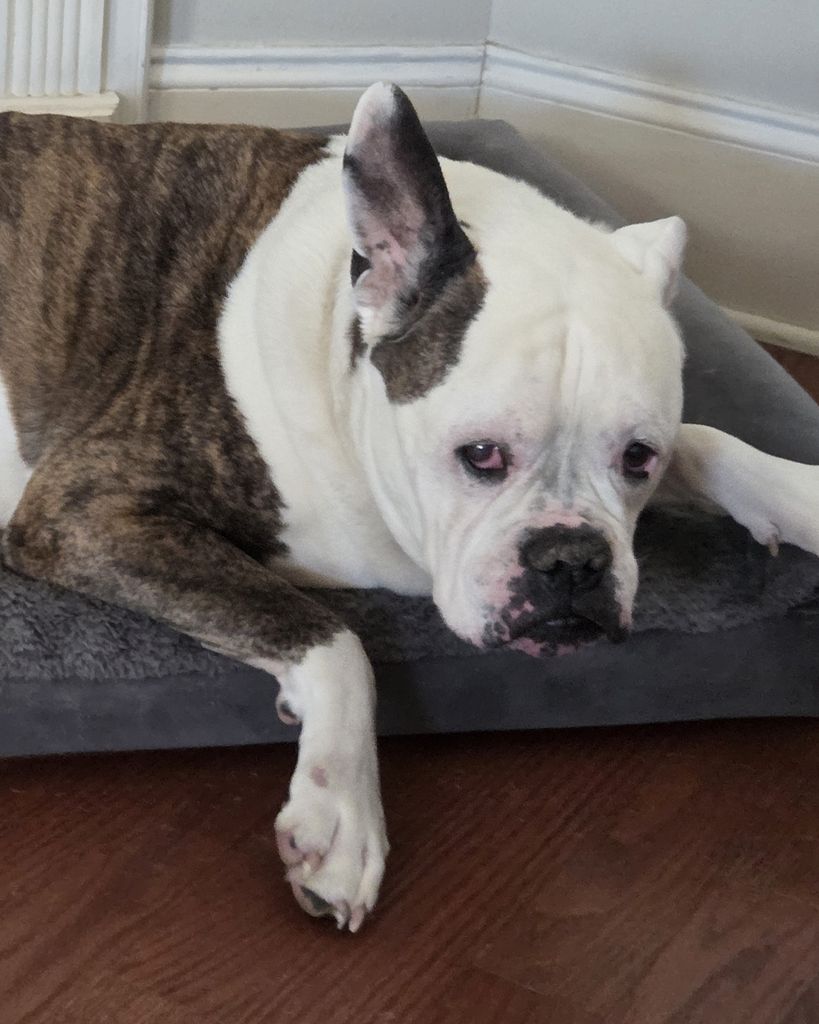 Hooch Wilkey Profile Photo