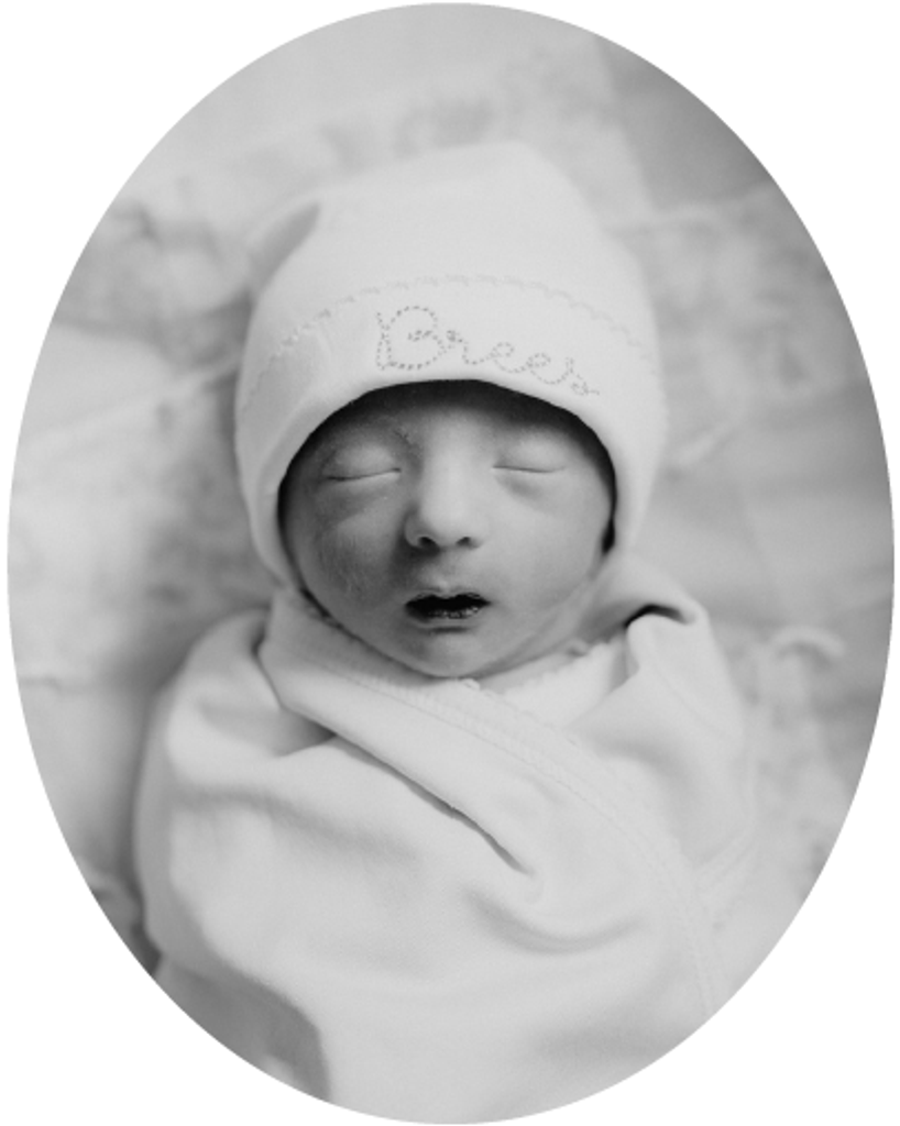 Brees Benjamin Williams