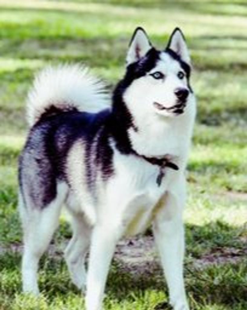 Ares Waters Profile Photo