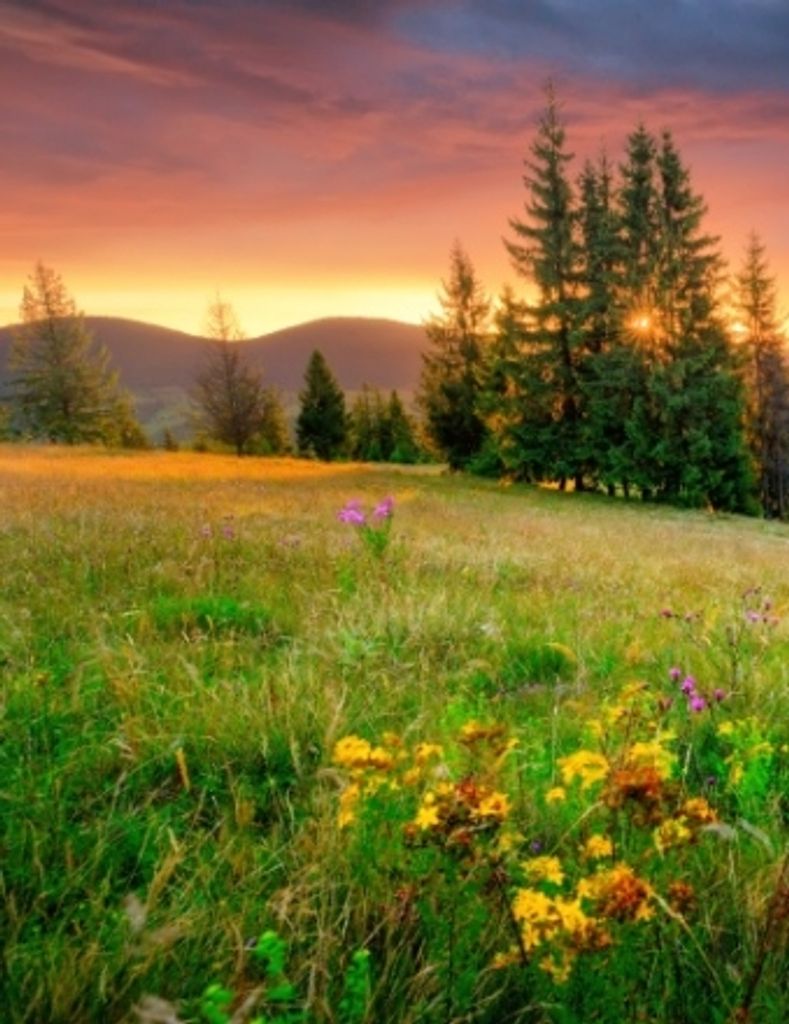 Leslie Lynn Way Profile Photo