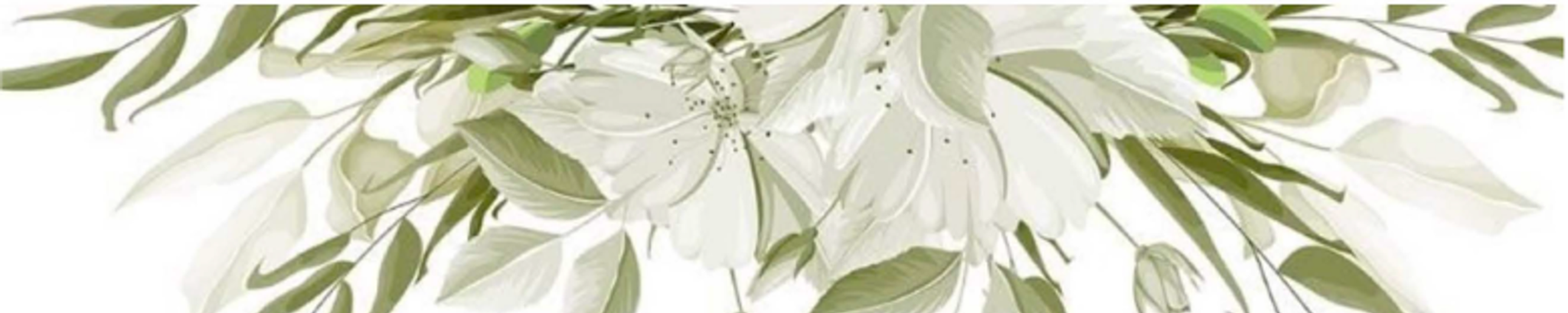 Cover for Zoe Dupasquier's Obituary